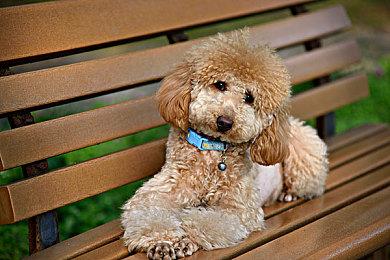 《忍者龟：施莱德的复仇》首周销量突破100万份